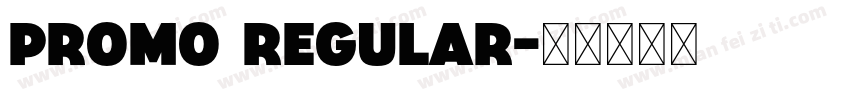 Promo Regular字体转换